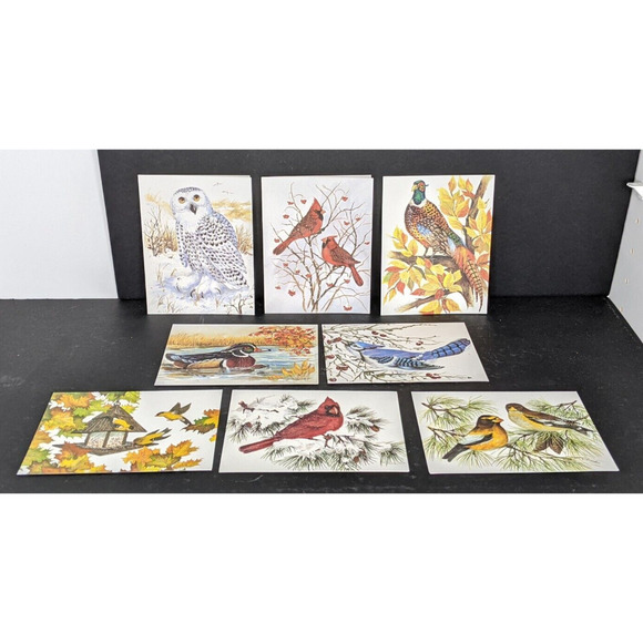 Wild Bird Notecards Blank LOT OF 13 Some Duplicates 4.25 x 5.5" White Envelopes - Picture 11 of 11